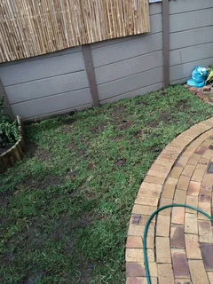 Paving installation
