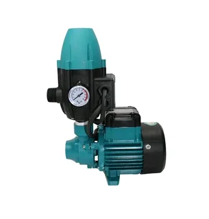 Leo 0.37kW Peripheral Pump 230V &#43; Controller