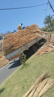 Thatch roof Installer