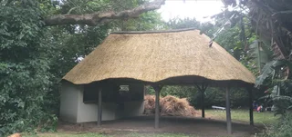 Thatch roofs installation