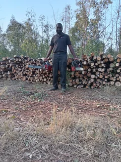 Landscaping and gardening . Maintenance and renovations