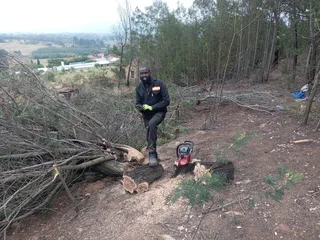 Grass and trees cutting