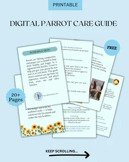 Tame Baby Cockatiels Available!