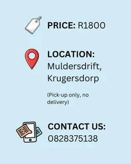 Tame Baby Cockatiels for Sale – R1800