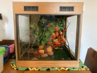 60x60x60 Reptile Wooding Enclosure