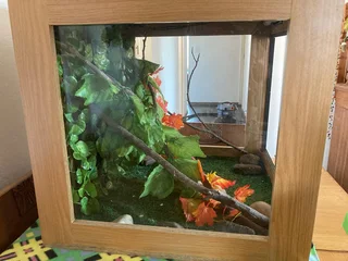 60x60x60 Reptile Wooding Enclosure