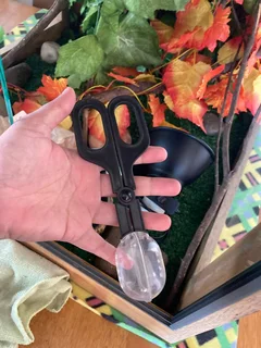 60x60x60 Reptile Wooding Enclosure