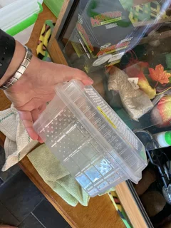 60x60x60 Reptile Wooding Enclosure