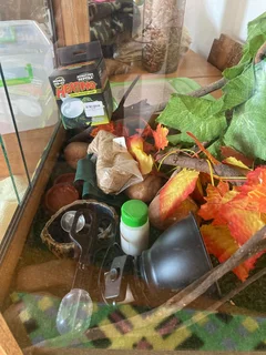 60x60x60 Reptile Wooding Enclosure