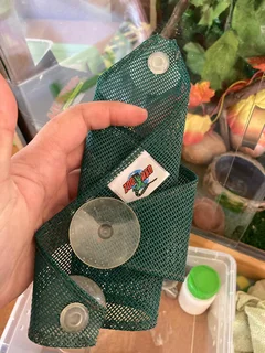 60x60x60 Reptile Wooding Enclosure