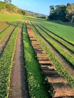 Good Quality Kikuyu, Buffalo, L&#39;m Berea  ,Brown Stones  ,Topsoil, Wood Chips And River Stone
