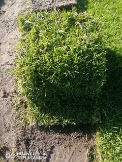 Good Quality Kikuyu, Buffalo, L&#39;m Berea  ,Brown Stones  ,Topsoil, Wood Chips And River Stone