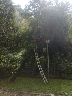 TREE FELLING AND GARDEN REFUSE DESPOSAL