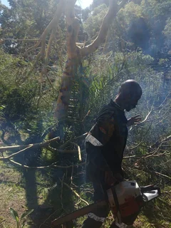 TREE FELLING AND GARDEN REFUSE DESPOSAL