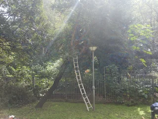 TREE FELLING AND GARDEN REFUSE DESPOSAL