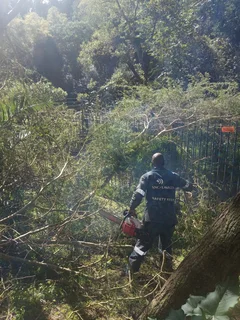 TREE FELLING AND GARDEN REFUSE DESPOSAL