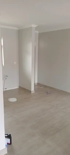 Simba Styles Painters