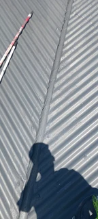 Simba Styles Painters