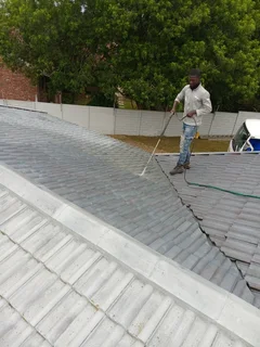 ALL PAINTING SKIMMING