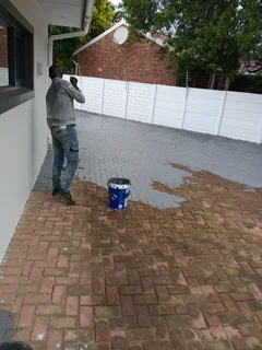 ALL PAINTING SKIMMING