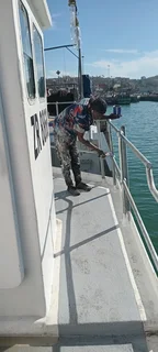 Simba Styles Painters