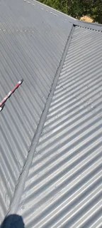 Simba Styles Painters