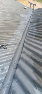 Simba Styles Painters