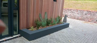 Simba Styles Painters