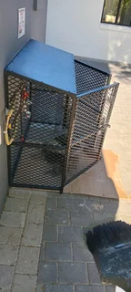 Simba Styles Painters