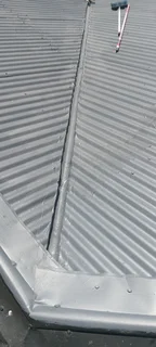 Simba Styles Painters