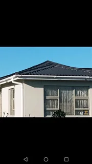 Simba styles Painters