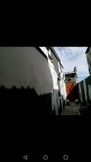 Simba styles Painters