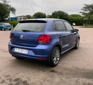 Polo vivo