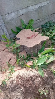 Tree cutting and stump removal