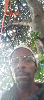 Tree cutting and stump removal