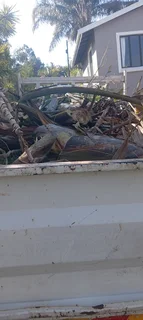 Rubbles removal, trees cutting, branches trimming, stump removal grass cutting and Garden services