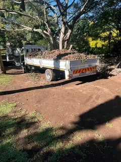 Rubbles removal, trees cutting, branches trimming, stump removal grass cutting and Garden services