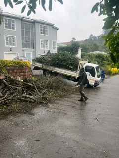 Rubbles removal, trees cutting, branches trimming, stump removal grass cutting and Garden services