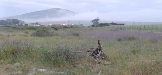 Self-catering Accommodation