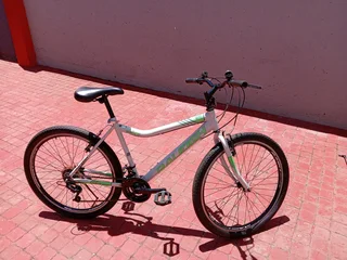 Raleigh Sabre Size 26