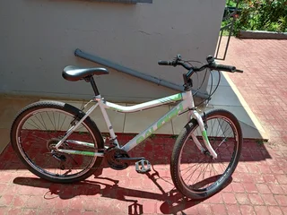 Raleigh Sabre Size 26