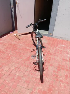 Raleigh Sabre Size 26