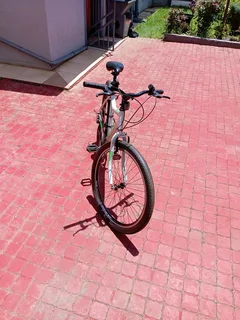 Raleigh Sabre Size 26