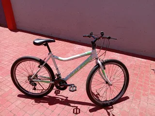 Raleigh Sabre Size 26.