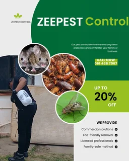 Pest Control Services in Durban and surrounding