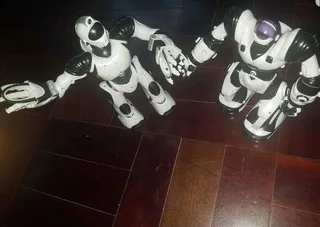 Toys - Ad posted by Reinhardt VanDenHeever