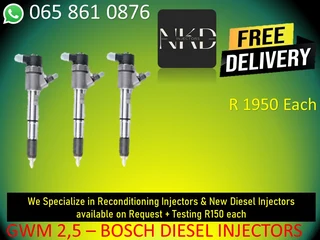 Gwm 2.5 Diesel Injectors For Sale