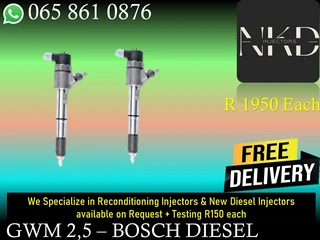Gwm 2.5 Diesel Injectors For Sale Or To Recon