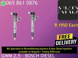 Gwm 2.5 Diesel Injectors For Sale  Or To Recon