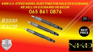 Gwm 2.0 Steed Diesel Injectors For Sale On Exchange Or To Recon With Warranty